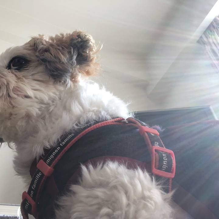 95501fcd bb5f 4046 99b2 6c1e0cd2fda4 1612821014610