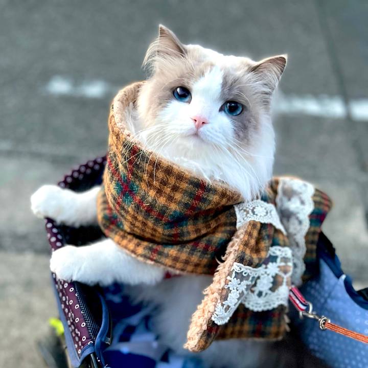 9550234a adb8 432e 96cf e07b85c35287 1675635424474