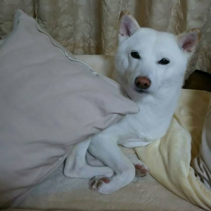 95502772 afd1 4a97 bdff 36e2828df5f9 1543238681259