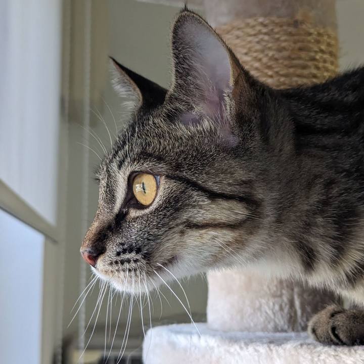 955027f7 b5a6 4ab2 ad8a 081487e0c021 1709266971621