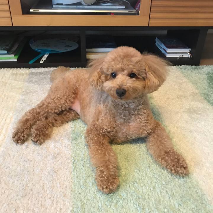 955045e5 591f 4449 9e47 b2556c4d161c 1531215676415