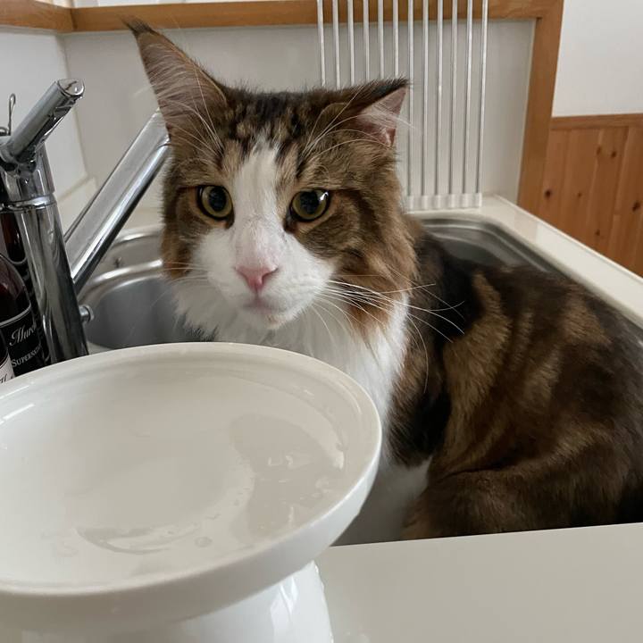 9550675c 5ccc 45c2 b941 2850356f6e02 1660956691802