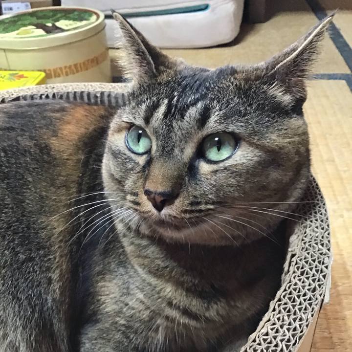 95506910 e4ff 4931 a43b 95428c293b85 1725955643360