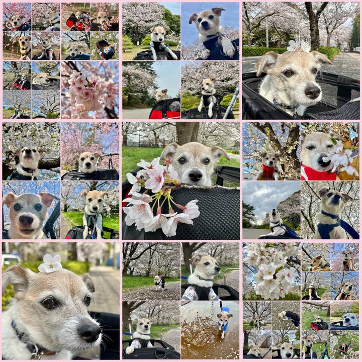 9550754f 68d1 44d3 ae94 1c1c26e265d3 1745376602032