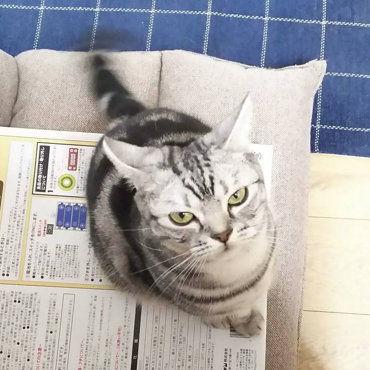 95509716 46a8 4e48 95ad b61de8b9b1c3 1580306365641