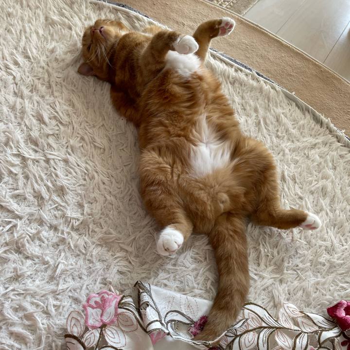 955098d8 8032 4682 a008 2961e4a1cca5 1694242585979