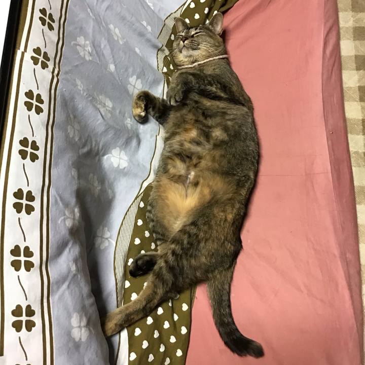 95510e4b a875 49d7 b46c 6bd34cfb4f0e 1674909981881