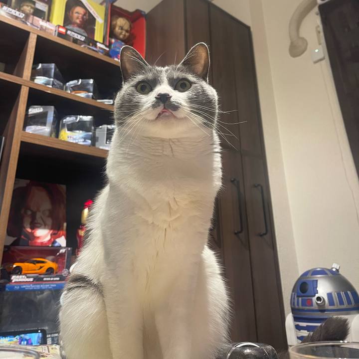 95512c2a 3fda 4a9f a4b0 b318f0b6f4c4 1678367810655