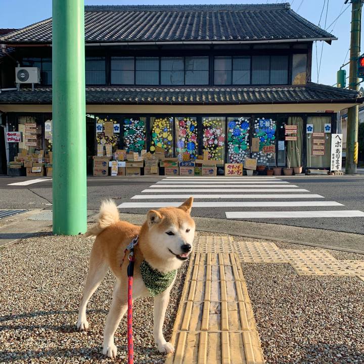 95515287 0c42 4146 b9dd 335bf4dd9396 1678530506176