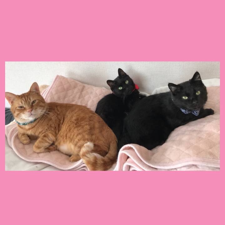 955173f9 cc16 4caa 96eb 89c9b0eccc0f 1561248753181