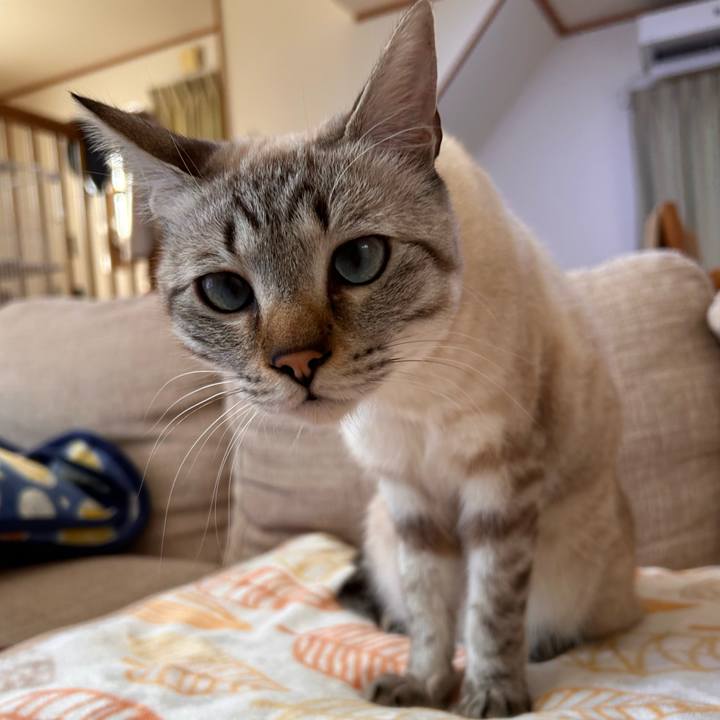 9551a203 eb38 4a58 9fc2 277d58c9c3d0 1768376162837