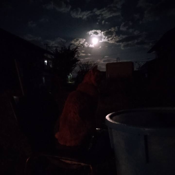 9551a724 a3a7 48d3 9e6f 5404cf8f4042 1667896616978