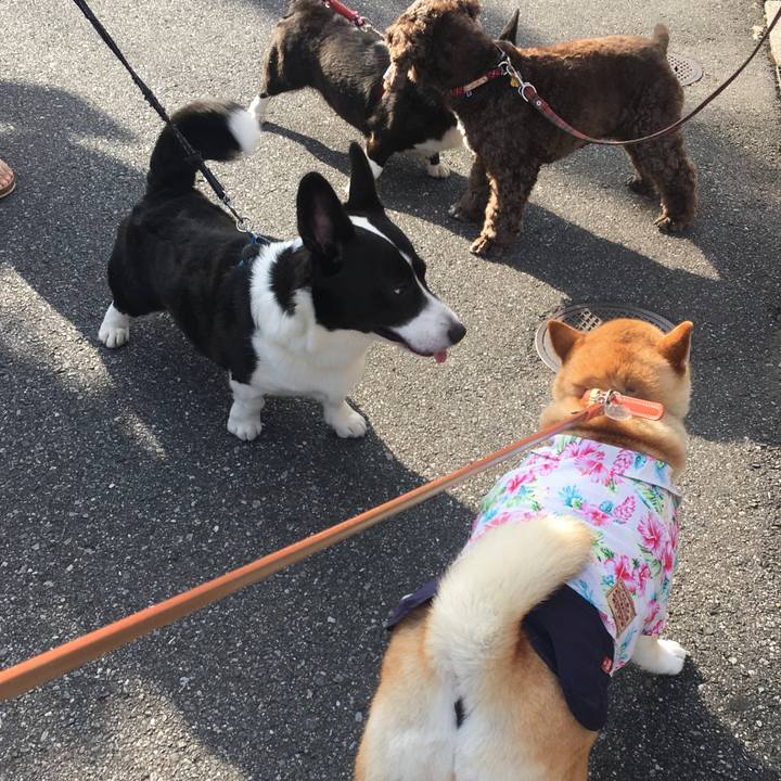 9551c884 d58d 4fff 895c e4c3895cd694 1565048540882