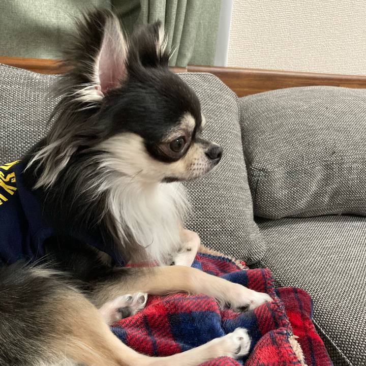 9551e741 ffac 45a1 aafb 85dcc44cf79d 1616939471217