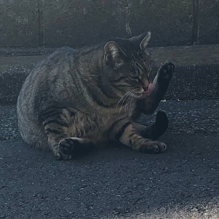 95523676 d5c9 4d10 beff 0b0f06d2de48 1513914677144