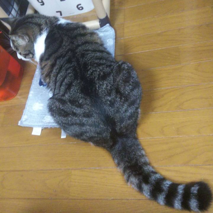 9552606d 3888 4c85 9ac0 21857175d4bc 1659575068932