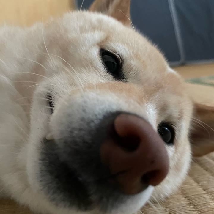 9552dd5a d3a7 4a3b 8f38 0faa330f6a3b 1686178256812