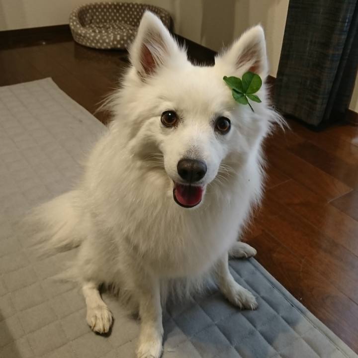 9552fe09 178e 4d79 98f2 ecdf0336fdb2 1621758745135