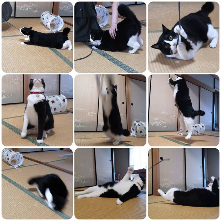 95531621 876c 4c41 982a ced152d5c32f 1567433777526