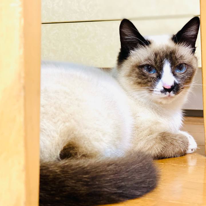 9553325f 6df8 4558 8f13 01bc77098c7e 1683199246913