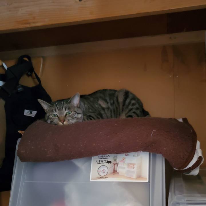 9553473c 4744 46c4 9266 a2f88244ae91 1721316299924