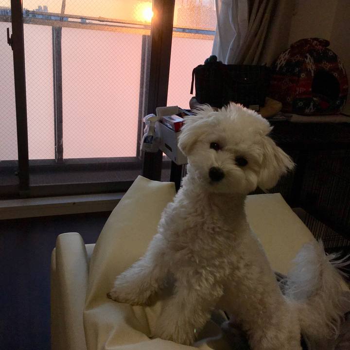 95534c12 9c32 4c34 bf26 2d21930918a8 1510781620918