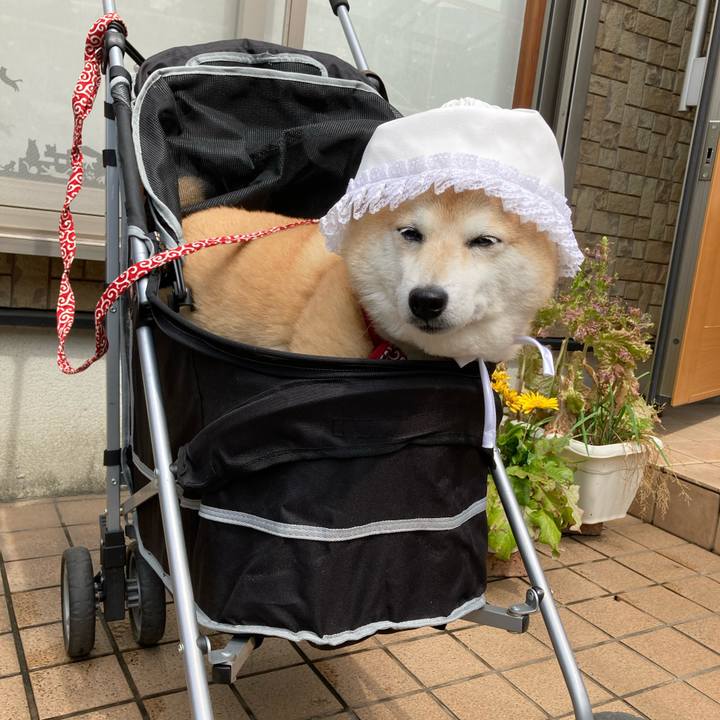 95536102 0dd7 4e55 9436 b6f4191043ae 1623406281684