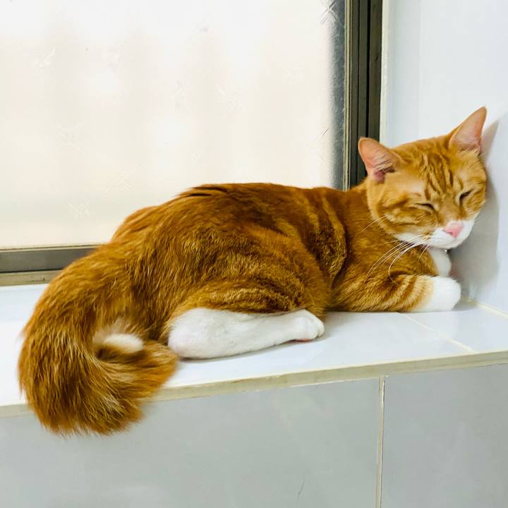 95536aed 9e6f 4933 8343 88aac3ea2bc4 1689686532292