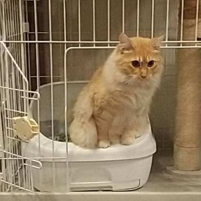 9553ba9e 2b8c 47ff 92cc c2a13490e550 1624536344916