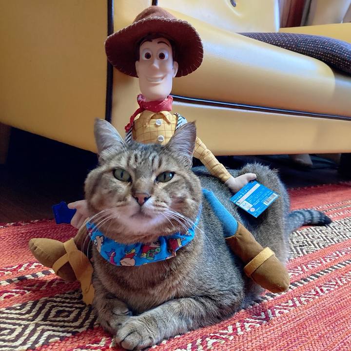 9553f091 2472 421c aae5 3c25c7d1c60d 1690166606176