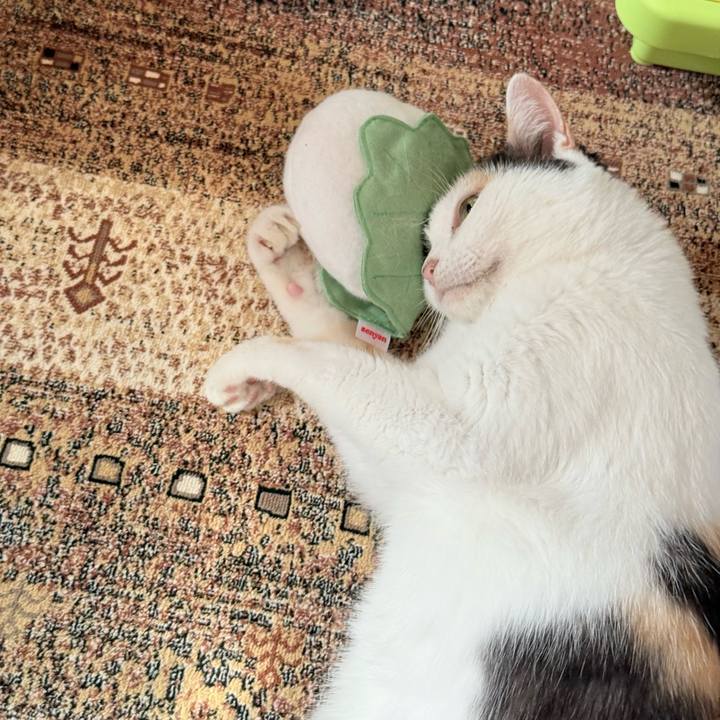 955427cf e873 497d 8fe7 35ca3e27107e 1755739656470