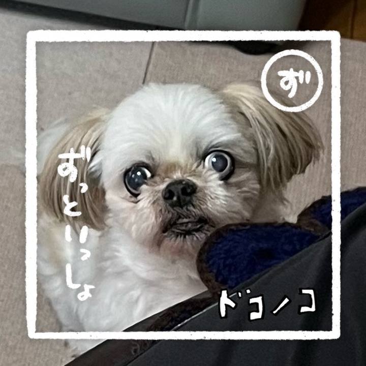 95543ae7 bb50 4e9d 9789 90bf642543d5 1685934713434