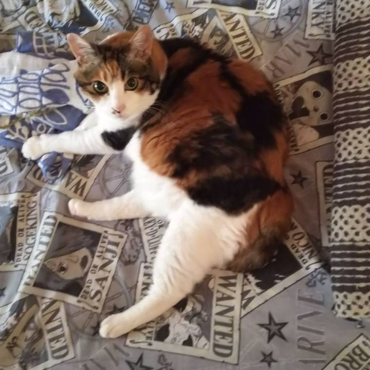 95546275 9caf 406f 904f 343617a736c2 1569629592424