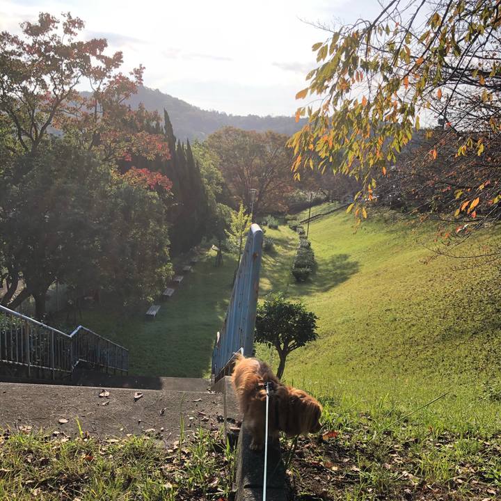 95549b4b 0706 4cd1 9bb5 cf7846bd605e 1572655218337