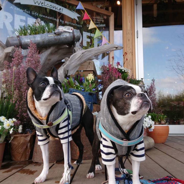 9554c49f 0cf9 418d a5e0 5ab0a0c6df86 1518954792036