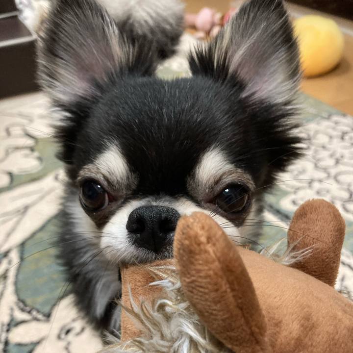 9554c794 92ad 4b3a 9bd3 725db4b1a092 1619703214266