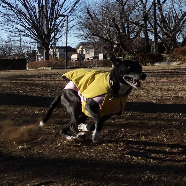 9555425f 1b24 40c8 8ad4 30e65765c2f4 1738974212982