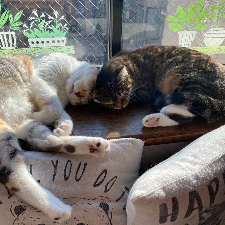 9555669b f041 4827 befb 605a915de459 1609650028493