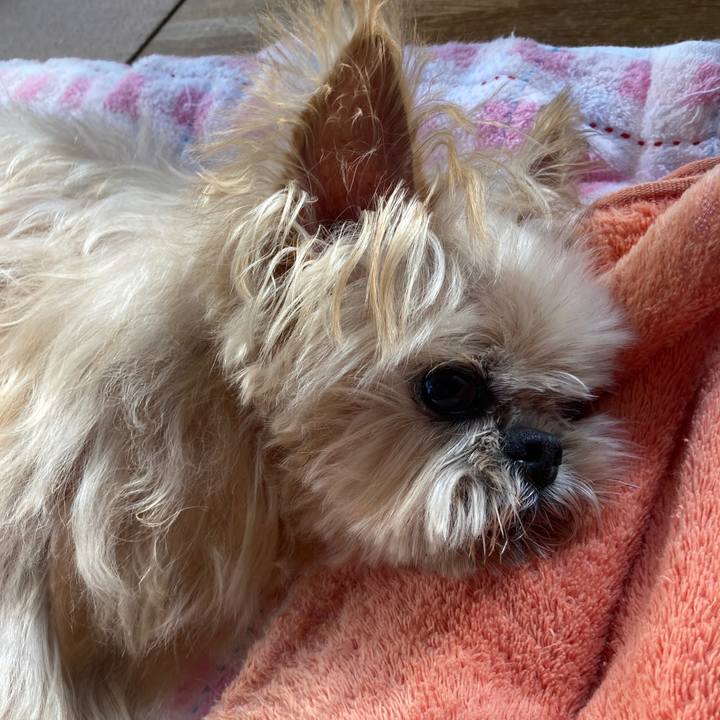 9555a946 17c5 416b b75d 5be2d6c2b048 1604118407765