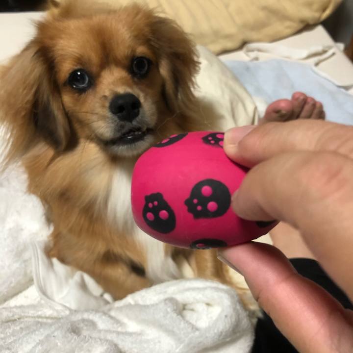 9555b1c2 b15b 4310 8c77 3479f47c8e2a 1538308917912