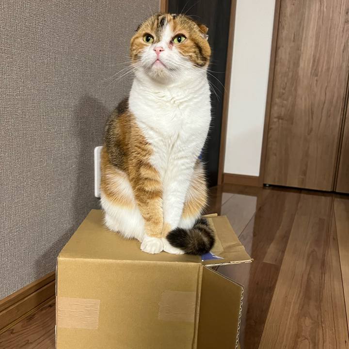 9555d5bf e18b 42a8 9c31 99b1798a1ce8 1647349571237