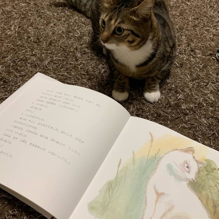 95561b1c 9cb7 45bf 86d6 499e199e4e3c 1549675905923