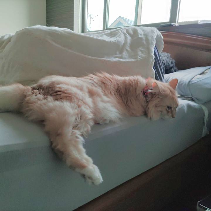 95562db2 e708 4ed9 b6ba 00e03d1723b1 1663019370996