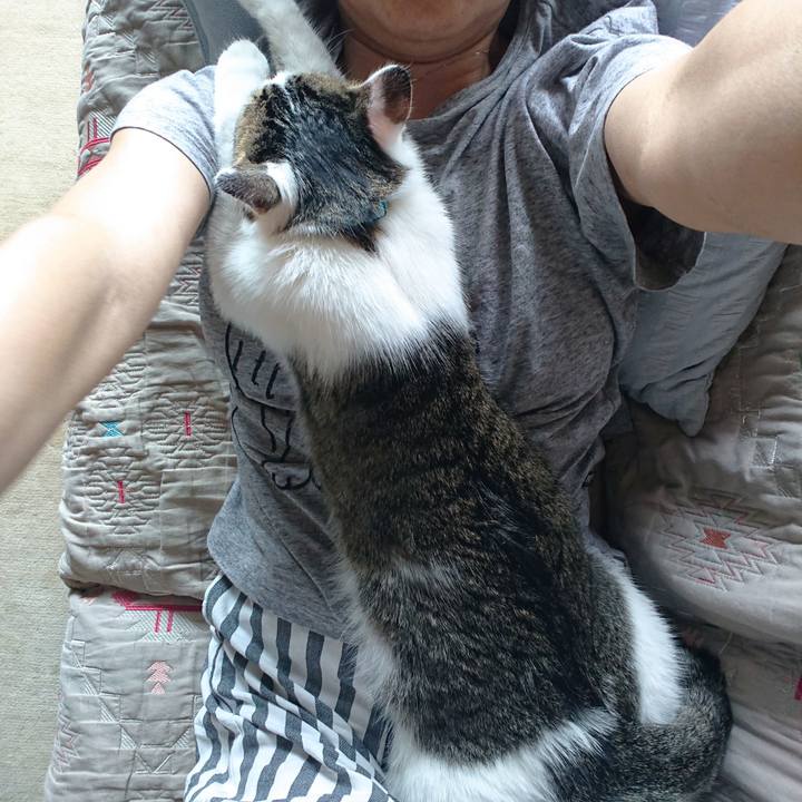 95563034 7061 4d4c 9fa5 7cd7df6cb848 1561255837503