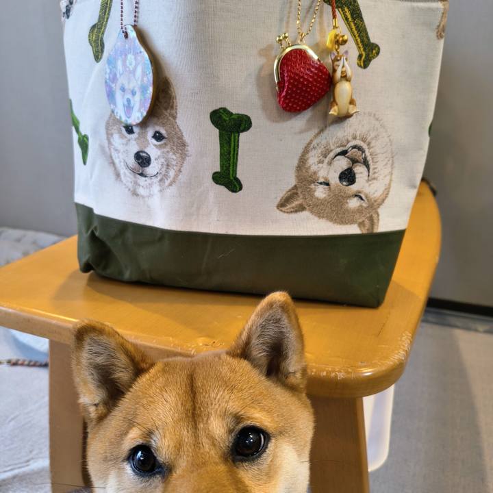 955631f6 e65d 4744 88f8 1951767d1ba9 1773959540194