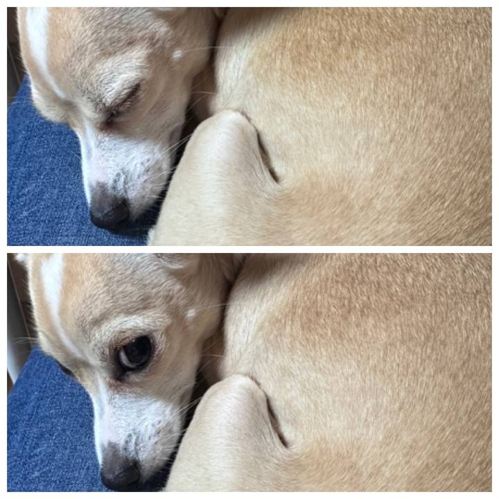 9556404a 090a 4263 8d39 be3738e2dc2b 1698741721388