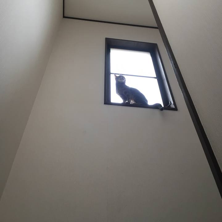 955641f4 3e10 48fd a210 35feb75eacac 1594595315964