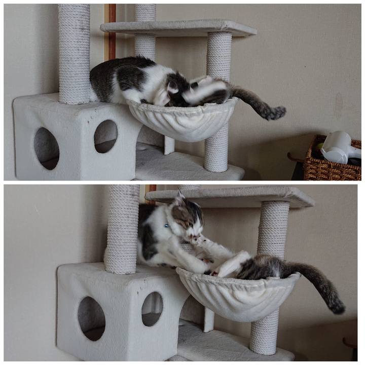 95564ee0 e54d 457e ac3f c55b26b1f24d 1556673528301