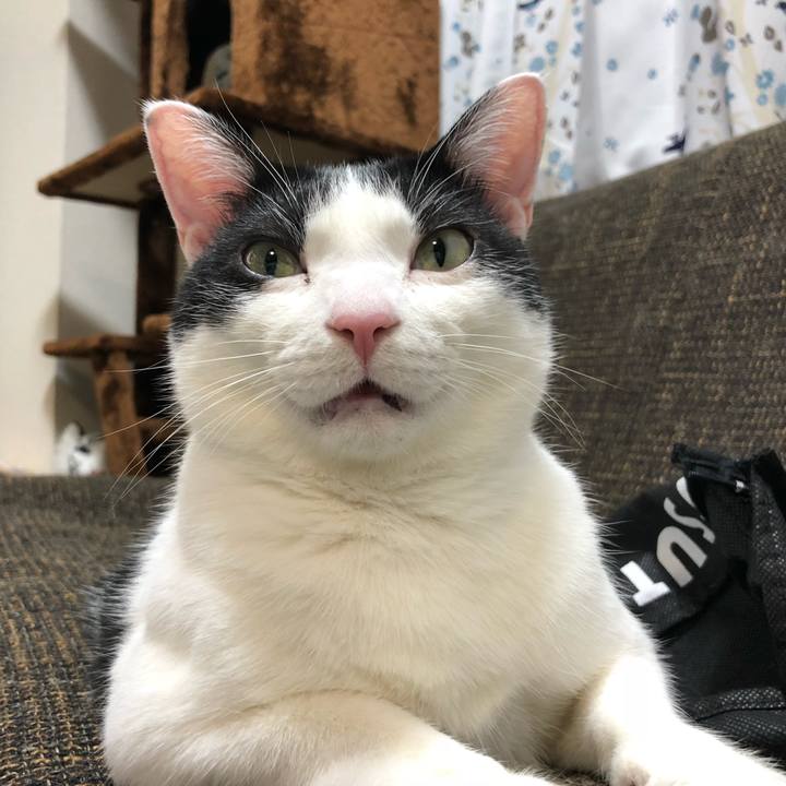 9556568c 37d0 46e0 a86a c95d65002585 1518752596399