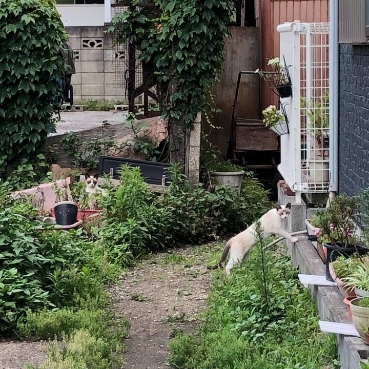 9556b171 8326 404e 9003 385fba687a65 1531083973793